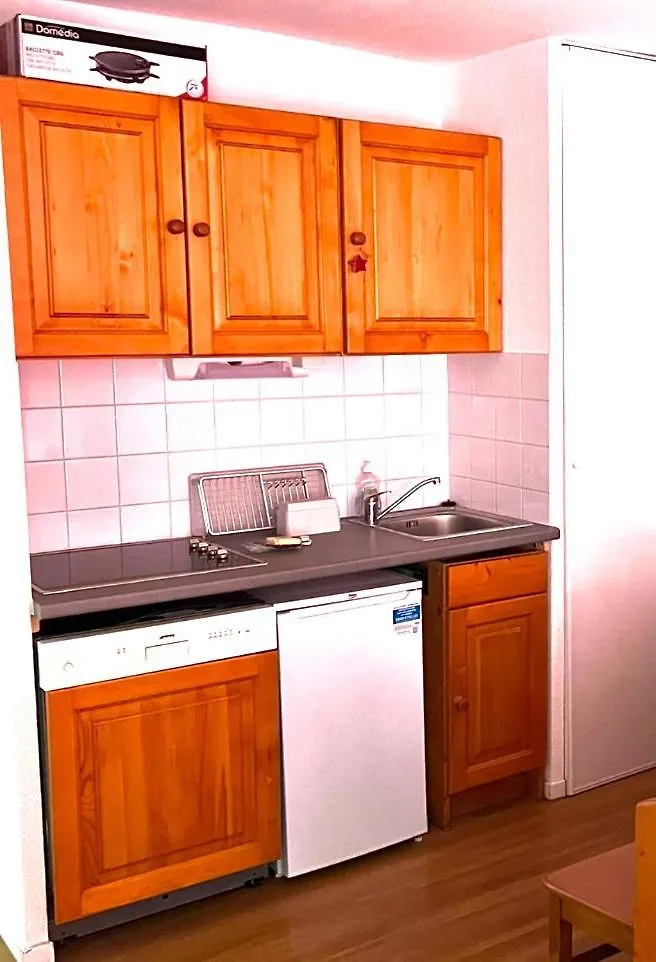Apartment Super Besse Chez Sophie 2Ch, Sejour, Wifi, 2Tv, Rdc, Terrasse, Parc, Piscine, Pkg